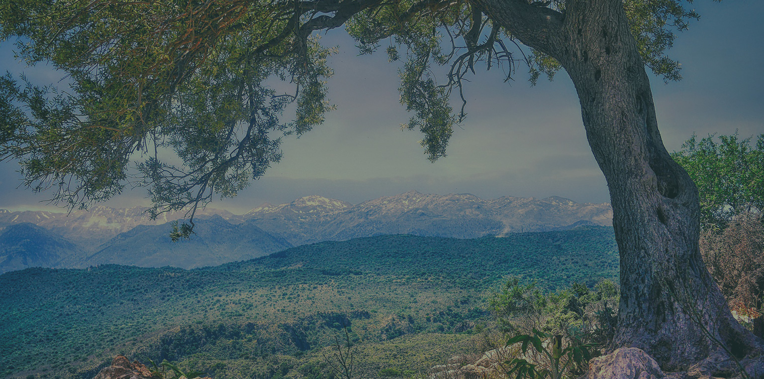 Mountain View in Crete
